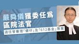 嚴舜儀獲委任為區院法官 過往曾審理「健仔」及「612基金」等案