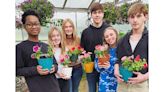 Cassopolis FFA, botany class deliver flowers to foster families - Leader Publications