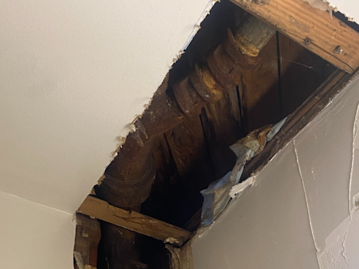 ‘Mold started occurring in the bathroom, I saw a mushroom coming out of the floor’: Family frustrated after months of leaks, mold in DCHA apartment