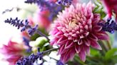The 20 Most Beautiful Perennial Flowers to Plant in Your Garden