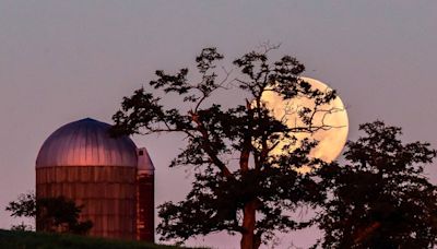 Kentuckians to get a chance to glimpse a flower moon — and the last of a meteor shower