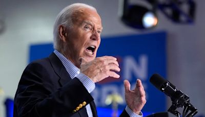 Biden takes heat for 'Trumpian' call into MSNBC pledging to stay in race: 'Angry, defensive, lashing out'