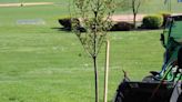 South Hills Park gets a new tree for Arbor Day