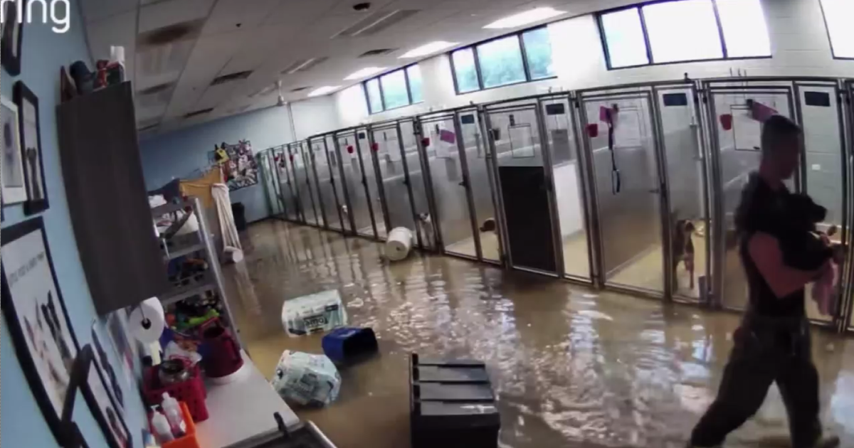 Suburban Chicago animal shelter needs help after devastating flood