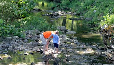 Exploring the creek at Avoca Park and Recreation