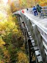 Virginia Creeper Trail