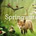 Springwatch