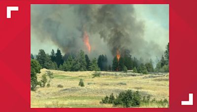 Level 3 Evacuations (Go Now!) issued for Columbia Basin Fire burning in Tyler, Washington