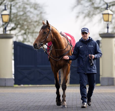 City of Troy on Road to Redemption in Epsom Derby