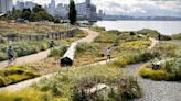 Expedia's Seattle landscape offers employees a quick trip to nature