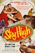 Sky High (1951 film)