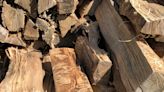 Keep the hearth burning wisely in Summit County with these firewood tips