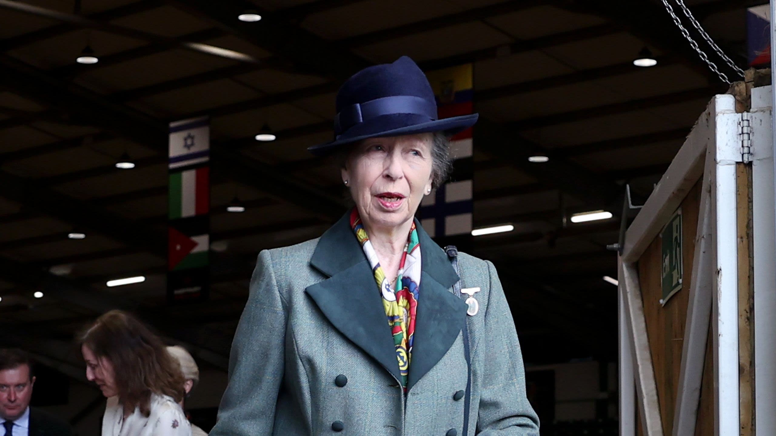 Princess Anne Cancels Her Engagements After an Incident on a Horse