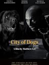 City of Dogs