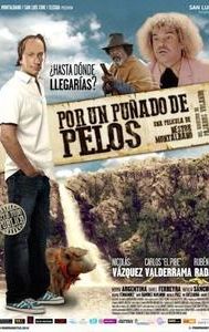 Por un puñado de pelos