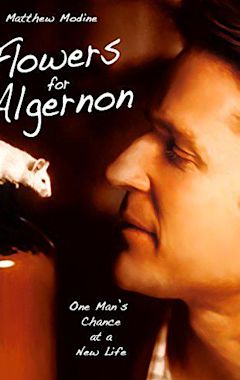 Flowers for Algernon