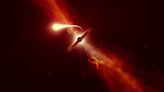 Astronomers witness 18 ravenous black holes ripping up and devouring stars
