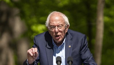 Sanders dice que Biden ganará "a lo grande" si se centra en la lucha contra la desigualdad