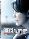 Grey's Anatomy season 11