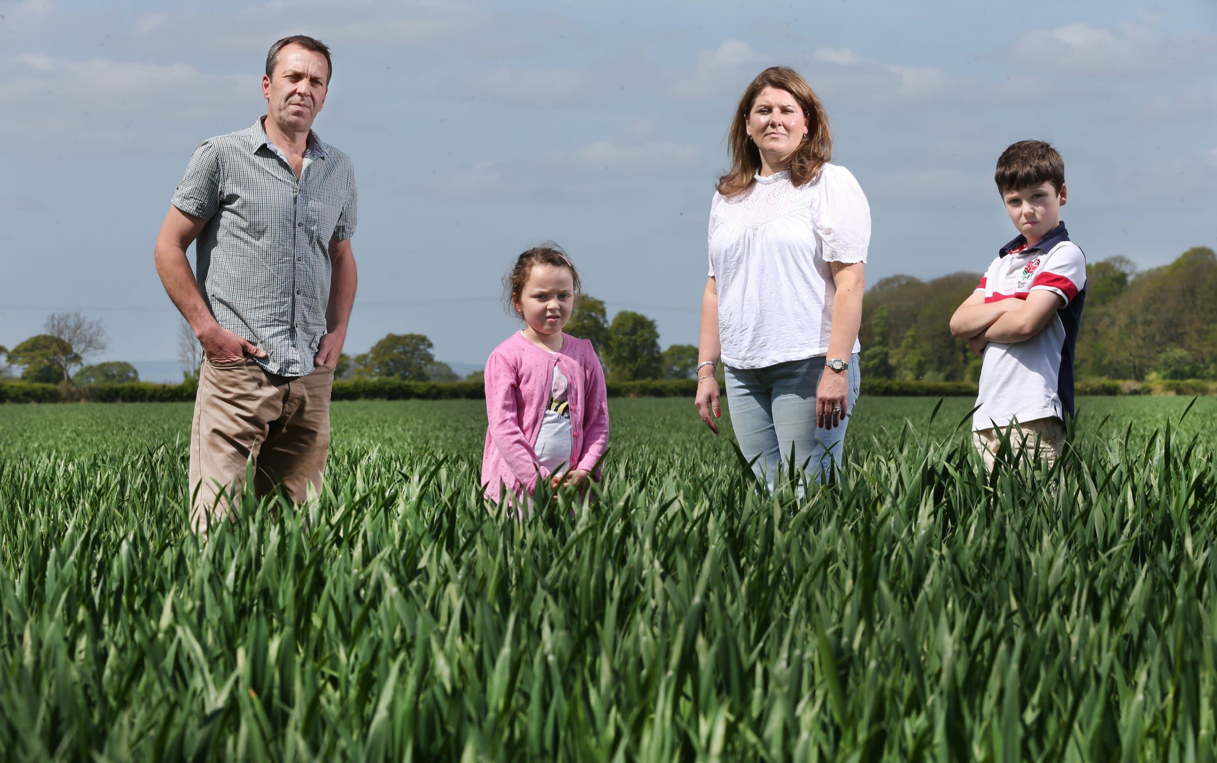 ‘I don’t want an industrial site where cows used to be’: The farmers under threat from solar developers