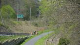 Why Segar Street is key to a new trail from the NY border through heart of Danbury to Tarrywile Park