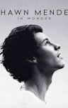 Shawn Mendes: In Wonder