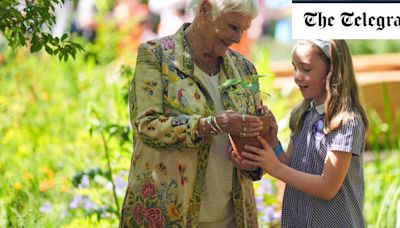 Dame Judi Dench places first Sycamore Gap seedling at Chelsea Flower Show