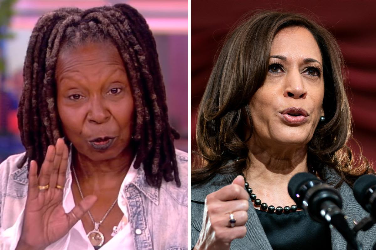 Whoopi Goldberg shuts down claim that Kamala Harris is a "DEI hire" on 'The View': "Women of color freak people out"
