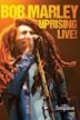 Bob Marley: Uprising Live!