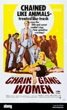 Bikini Chain Gang Movie – Telegraph