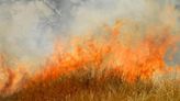 Alberta wildfire information update