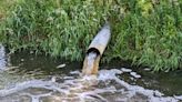 Labour plans fines for sewage spills that water firms ‘can’t afford to ignore’