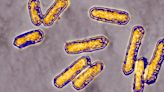 Possible Cause Identified in Deadly Listeria Outbreak in 10 States