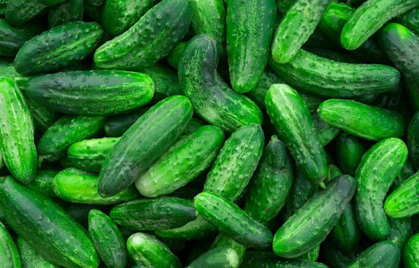 Cucumbers shipped to 14 states are recalled over salmonella concerns. Here's a list