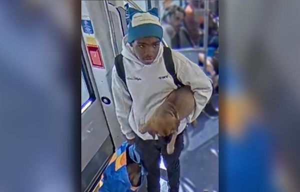 Minneapolis police seek to ID four persons of interest in puppy theft case