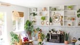 30 Indoor Plants We Love to Bring Freshness and Life into Your Home