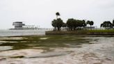Water in Tampa Bay recedes dramatically as Hurricane Ian approaches