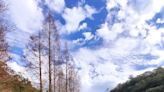 〈中華旅遊〉福山植物園 雙流森林浴