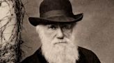 “Crueldad”: el horror de Charles Darwin ante la esclavitud en Brasil y cómo marcó sus teorías