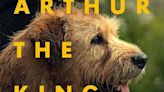 Is 'Arthur the King' a True Story? All About Michael and Arthur's Real Life Story