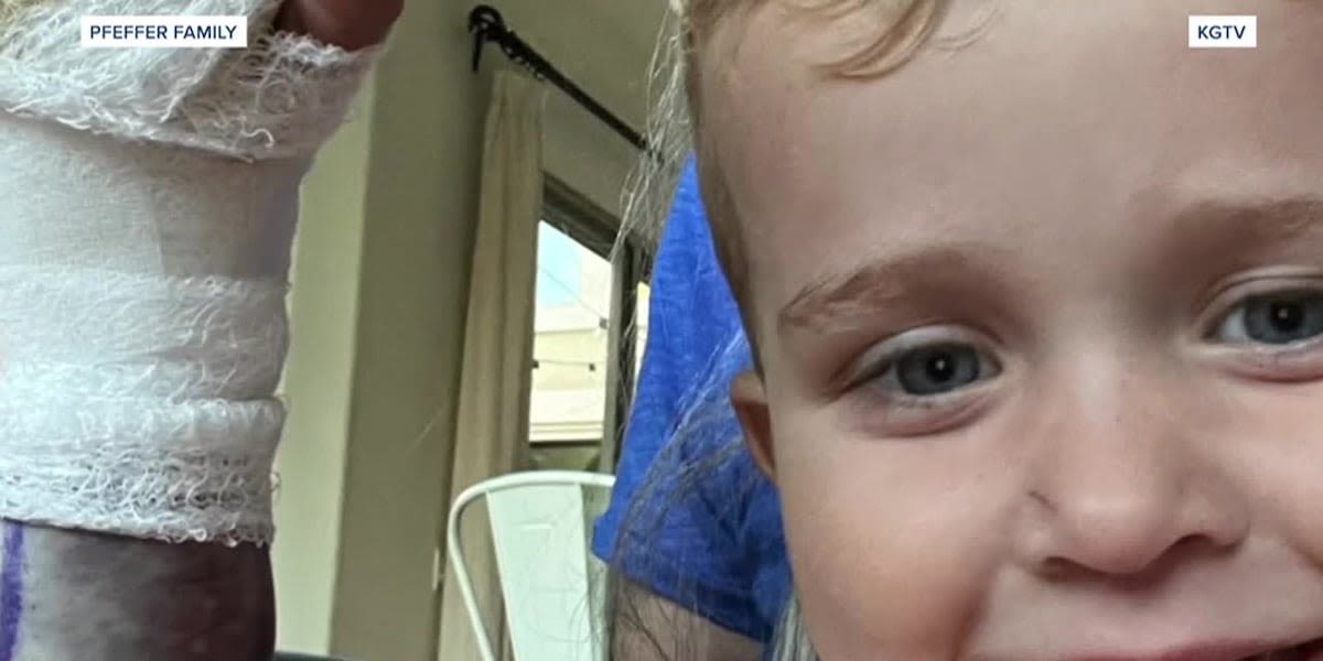 GRAPHIC: 2-year-old boy survives encounter with venomous rattlesnake