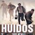 Huidos