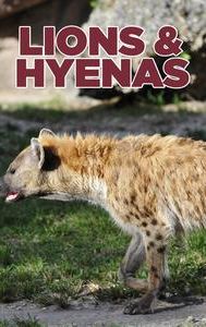 Lions & Hyenas