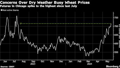 Wheat Jumps to Nine-Month High on Fears of Shrinking Stockpile