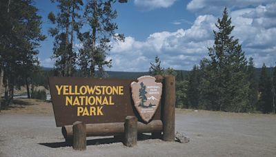 Florida man killed by Yellowstone National Park rangers had planned a July 4 mass shooting, park reveals