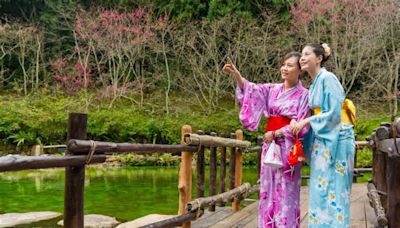 夏天旅遊日本怎麼玩?夏季日本景點推薦！