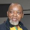 Gwede Mantashe