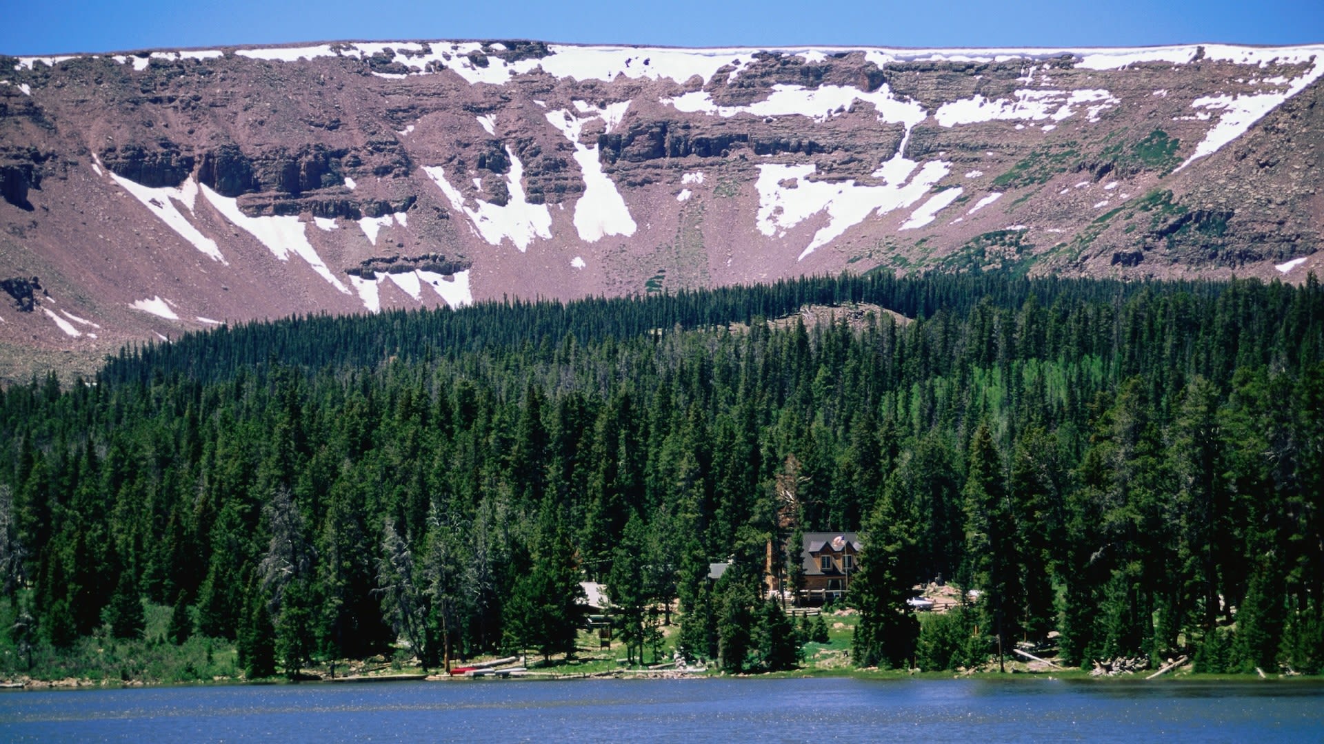 Conservation groups celebrate major victory as US Forest Service halts massively destructive logging project: 'It never should have been approved'