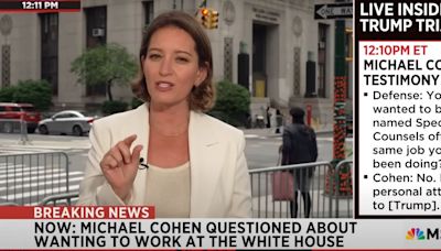 MSNBC Host Says Trump Allies Had 'Mean Girls' Moment With George Conway In Court