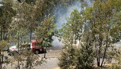 Puebla ha registrado más de 200 incendios forestale en lo que va del año